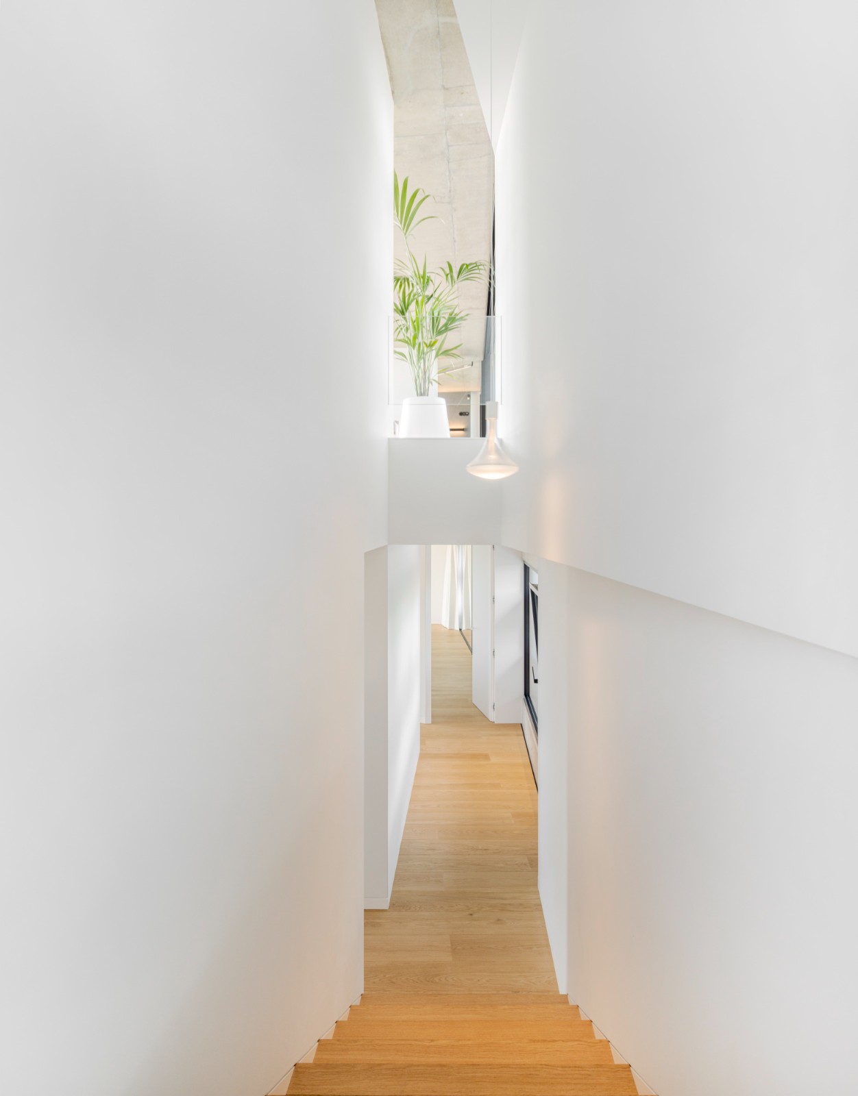 BIM建筑|Quinta do Rei 住宅 / Contaminar Arquitetos