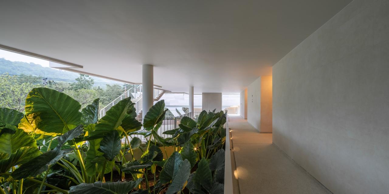 BIM建筑|游向天空，MYS Khaoyai 酒店 / Urban Praxis