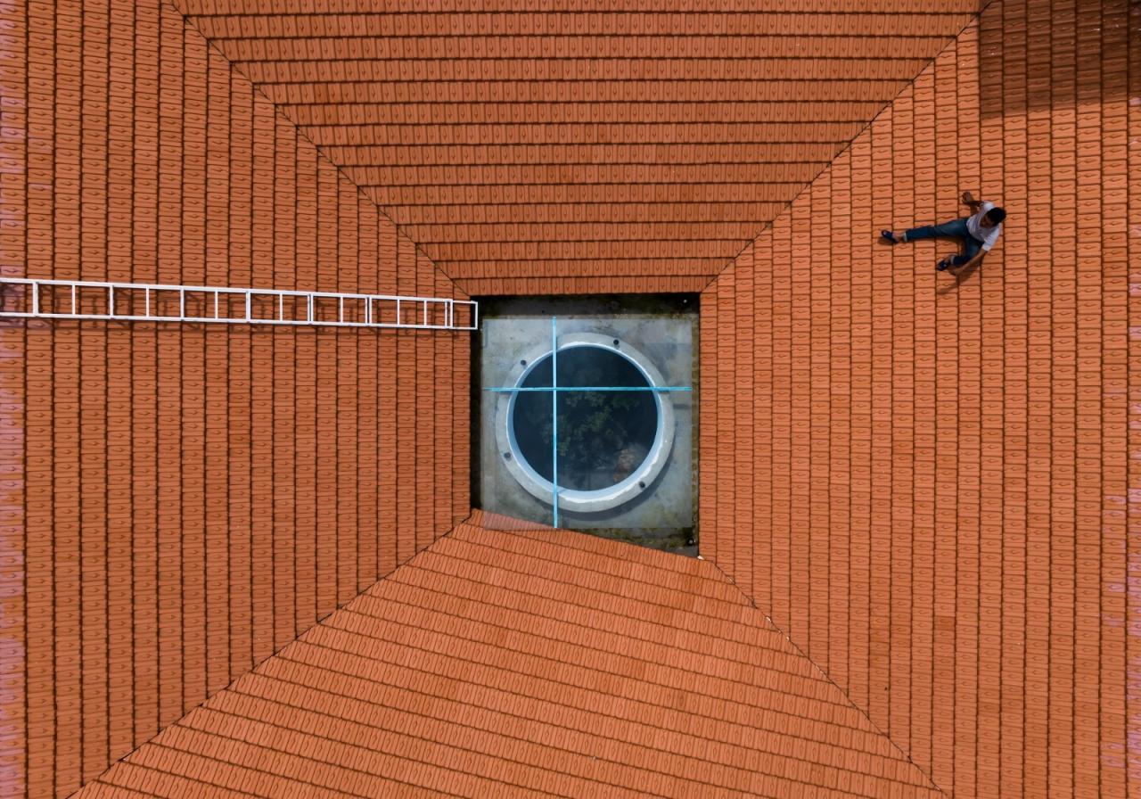 BIM建筑|瓦宅 / The Bloom