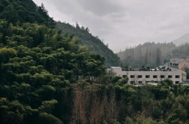 BIM建筑|杭州青山青年社 / 间筑设计-BIM建筑网