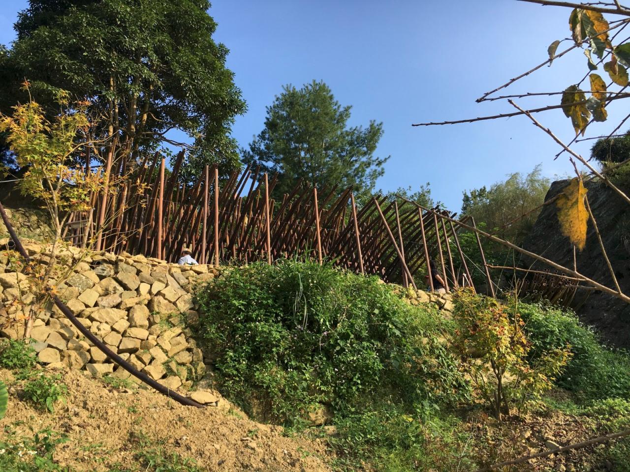 BIM建筑|清水茶坊 / Behet Bondzio Lin Architekten