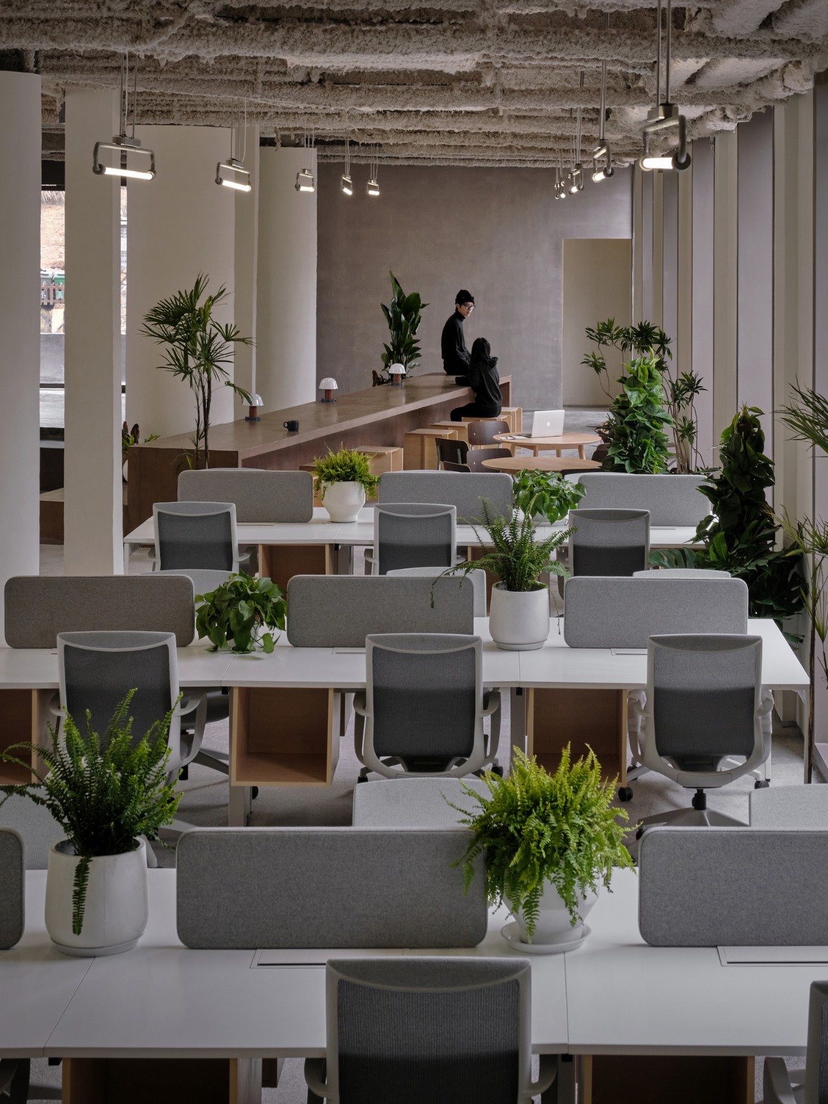 BIM建筑|杭州青山青年社 / 间筑设计