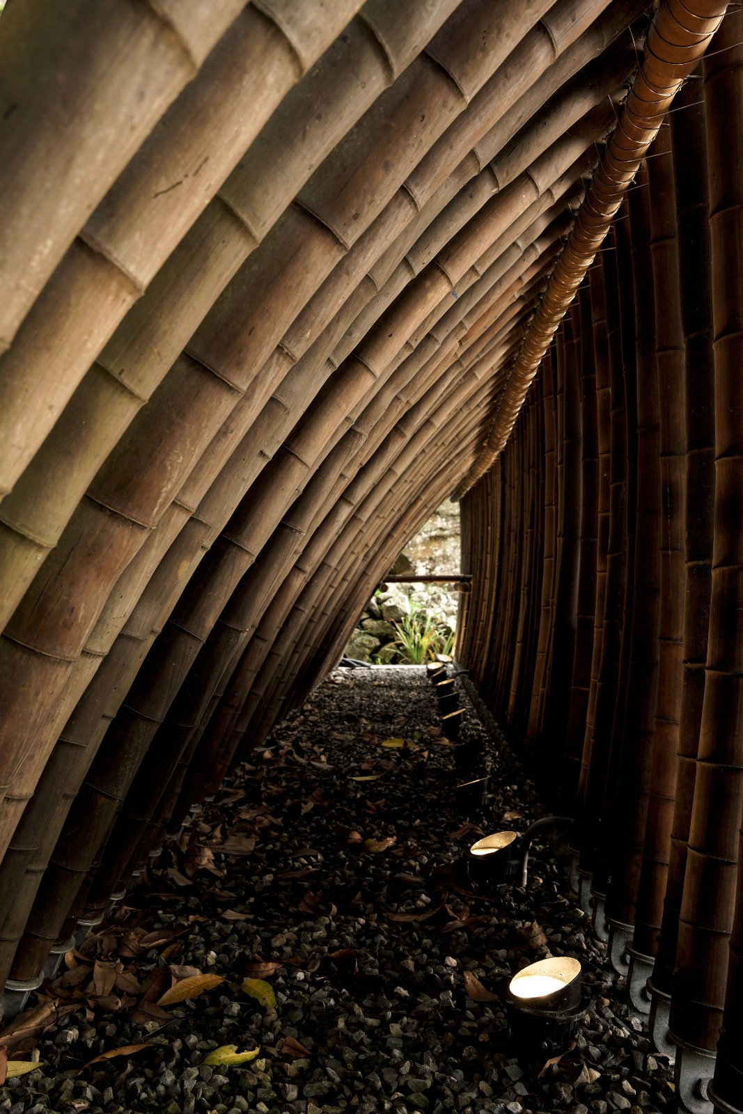 BIM建筑|清水茶坊 / Behet Bondzio Lin Architekten