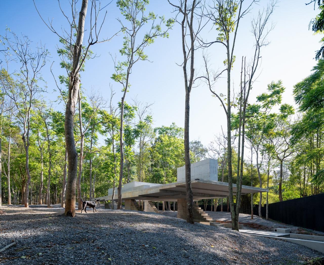 BIM建筑|黄之迷你咖啡厅 / JOYS Architects