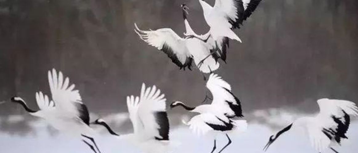 BIM建筑|武汉戏曲中心：观湖望江绘山水，古琴台曲遇园林 / 维思平建筑设计