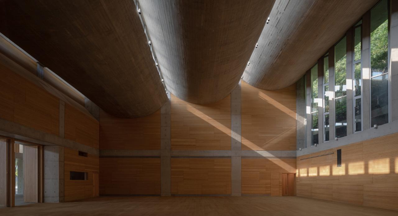 BIM建筑|紫晶国际会舍 / 朱锫建筑