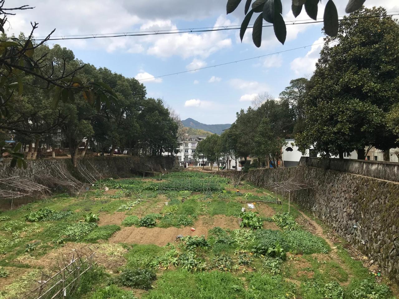 BIM建筑|溪口未来社区之家 / 严旸建筑设计