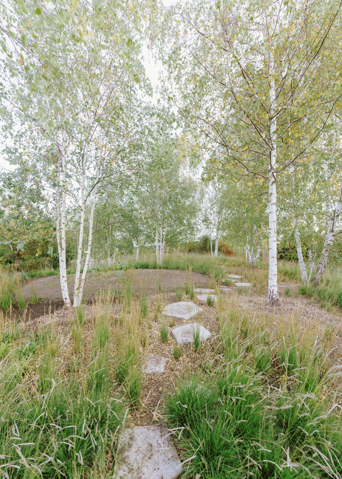 BIM建筑|歌剧公园 / Cobe