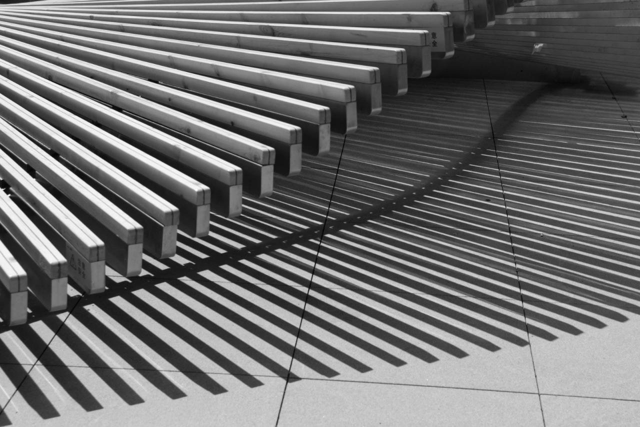 BIM建筑|一片落入绿洲的花瓣 / 成都直现建筑设计