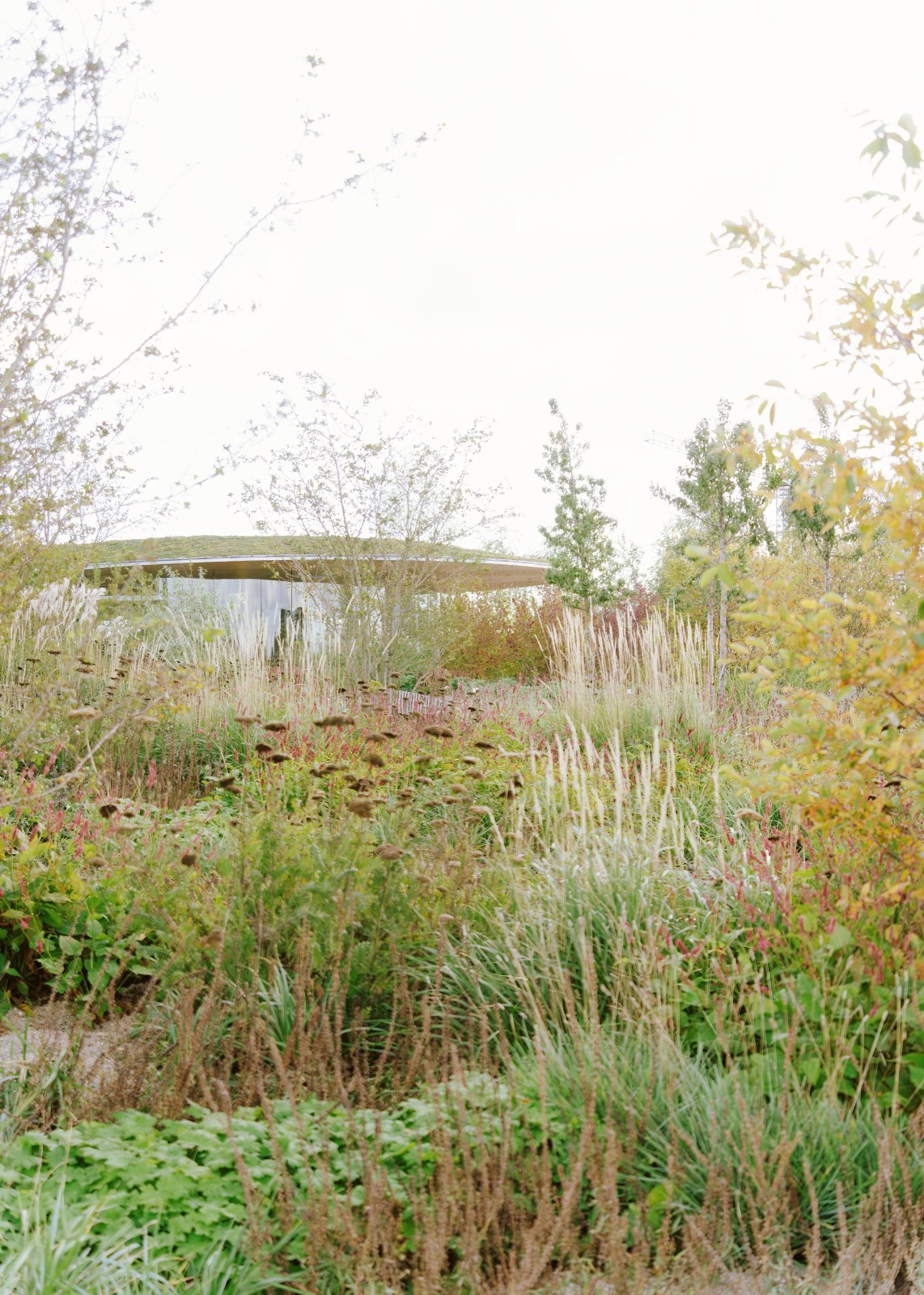 BIM建筑|歌剧公园 / Cobe