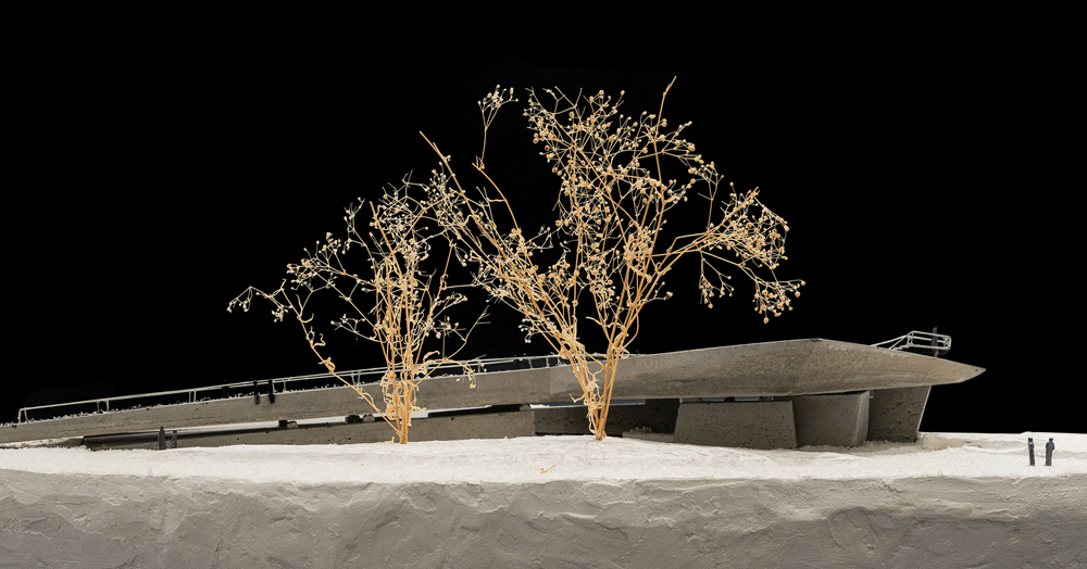 BIM建筑|微地形：大理洱海小邑庄生态驿站-孟凡浩 / line+建筑事务所