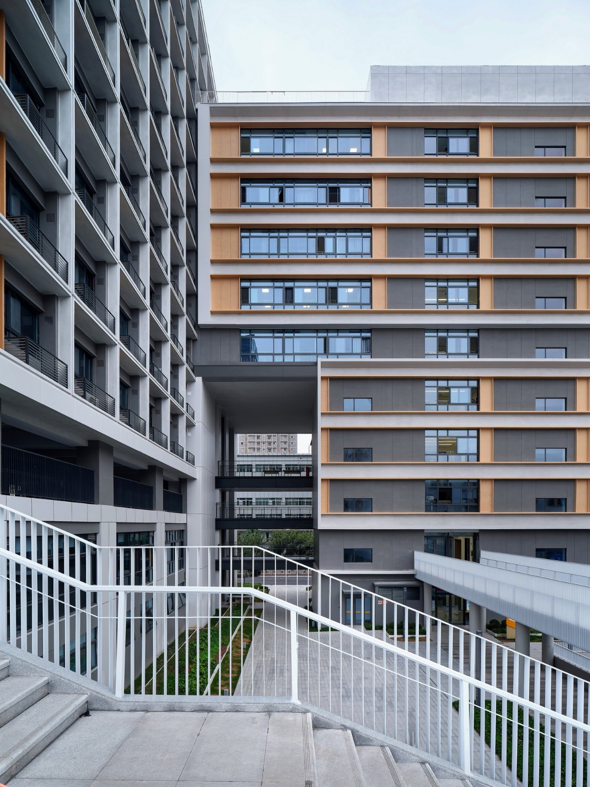 BIM建筑|西安高新第一中学（高中部）改扩建 / 中国建筑西北设计研究院 屈培青工作室