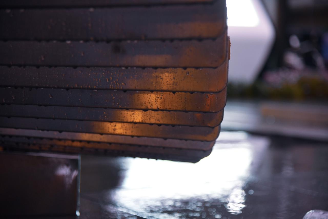 BIM建筑|一片落入绿洲的花瓣 / 成都直现建筑设计