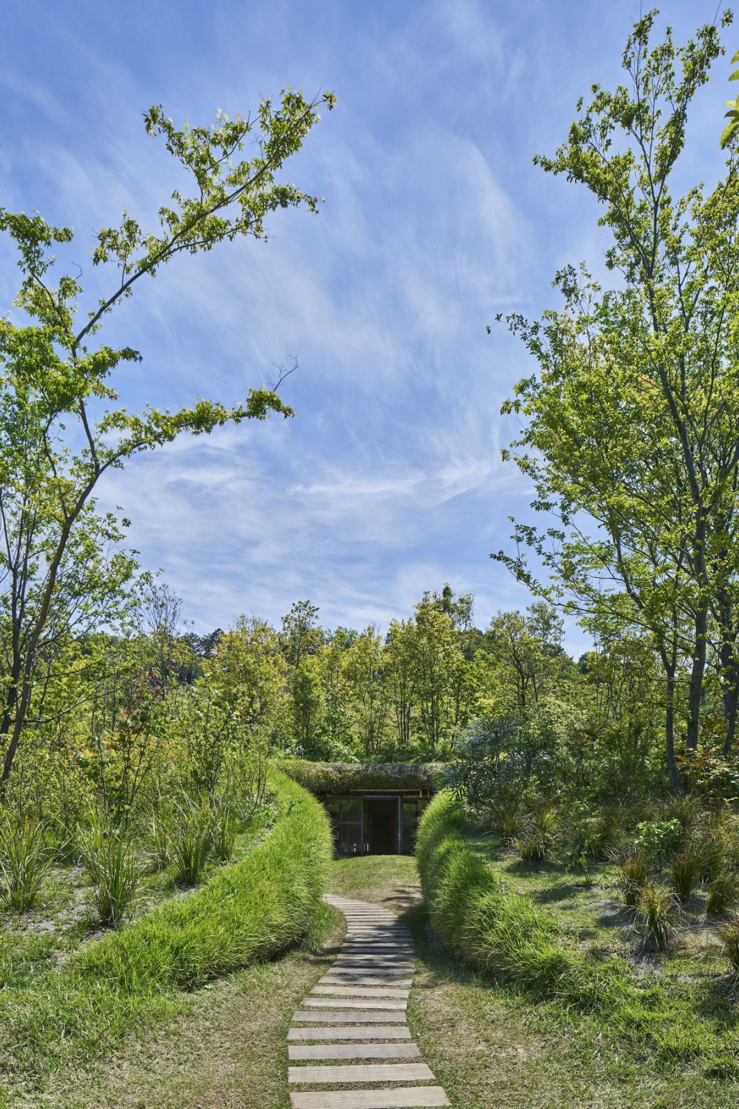 BIM建筑|晴天耕田雨天看书，农民的地球图书馆 / 中村拓志建筑事务所 & NAP