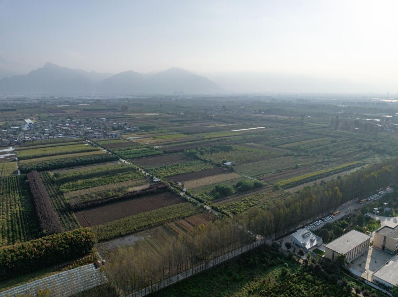 BIM建筑|陕西希望工程校园图书馆2.0 / 垣建筑