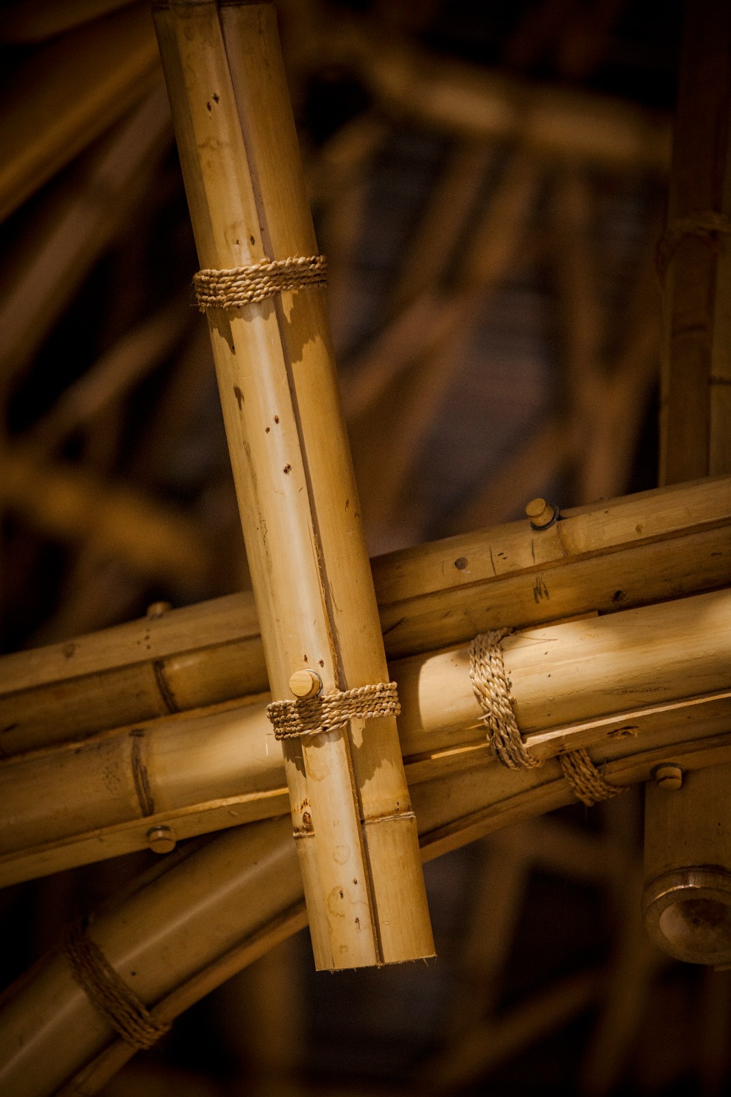 BIM建筑|巴厘岛 Bandido - La Lourdes & La Matilde 别墅 / Javi Diaz