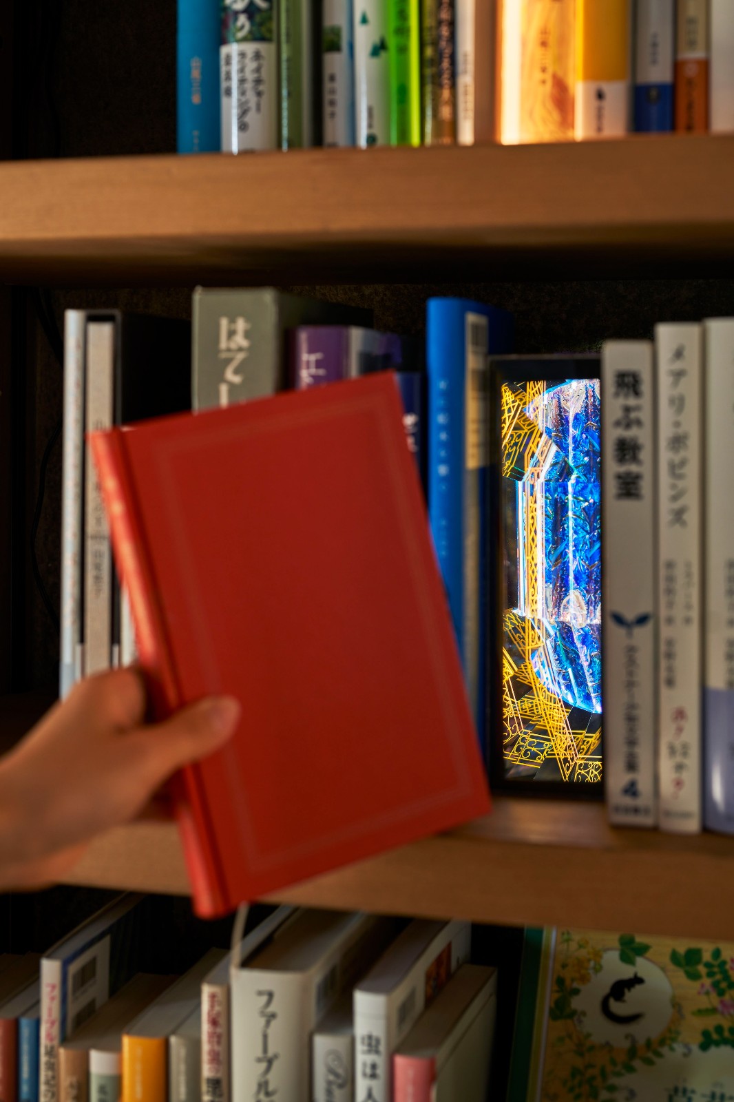 BIM建筑|晴天耕田雨天看书，农民的地球图书馆 / 中村拓志建筑事务所 & NAP