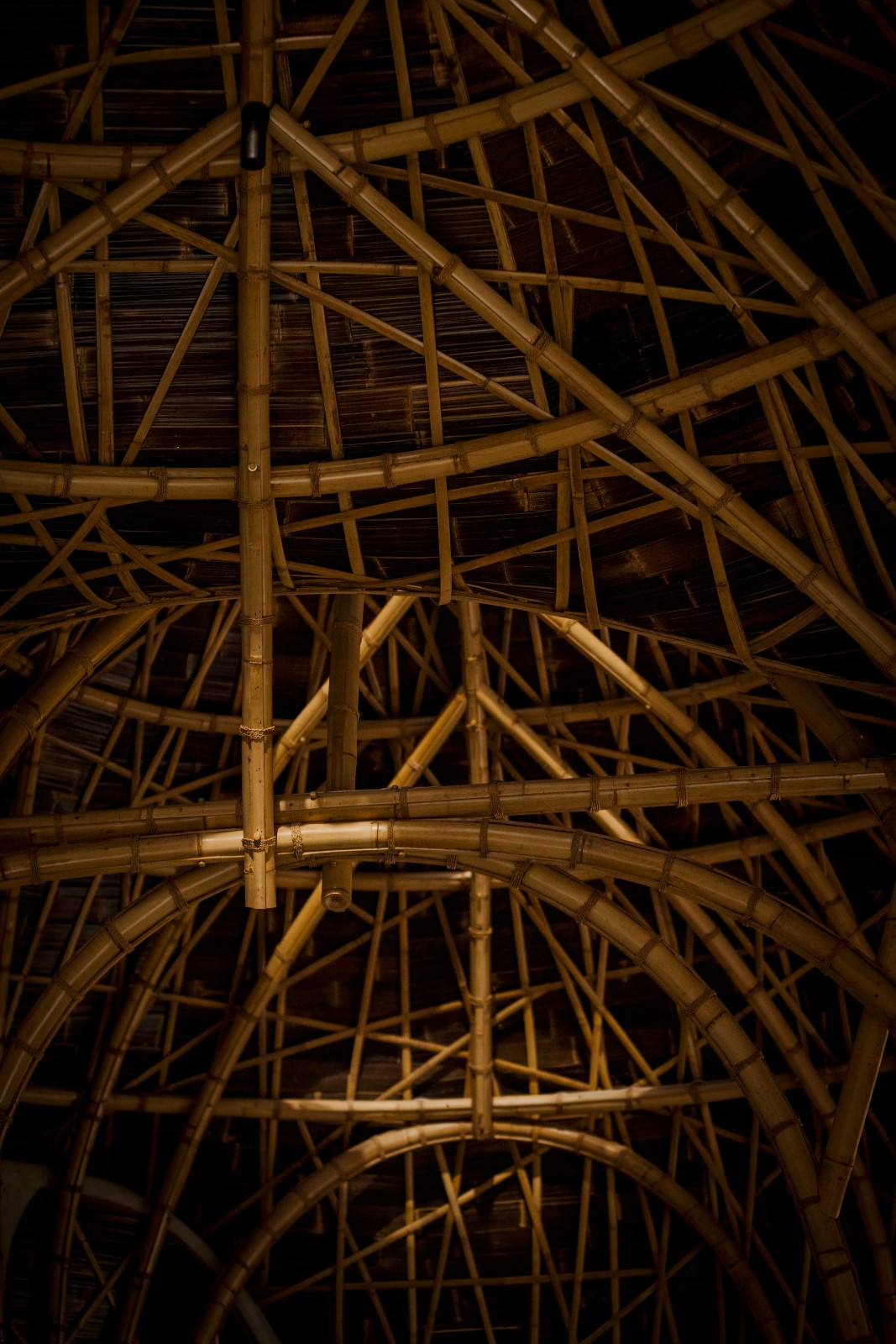 BIM建筑|巴厘岛 Bandido - La Lourdes & La Matilde 别墅 / Javi Diaz