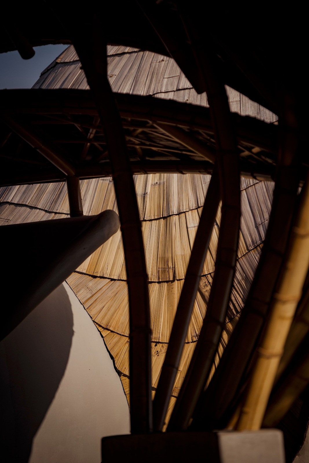 BIM建筑|巴厘岛 Bandido - La Lourdes & La Matilde 别墅 / Javi Diaz