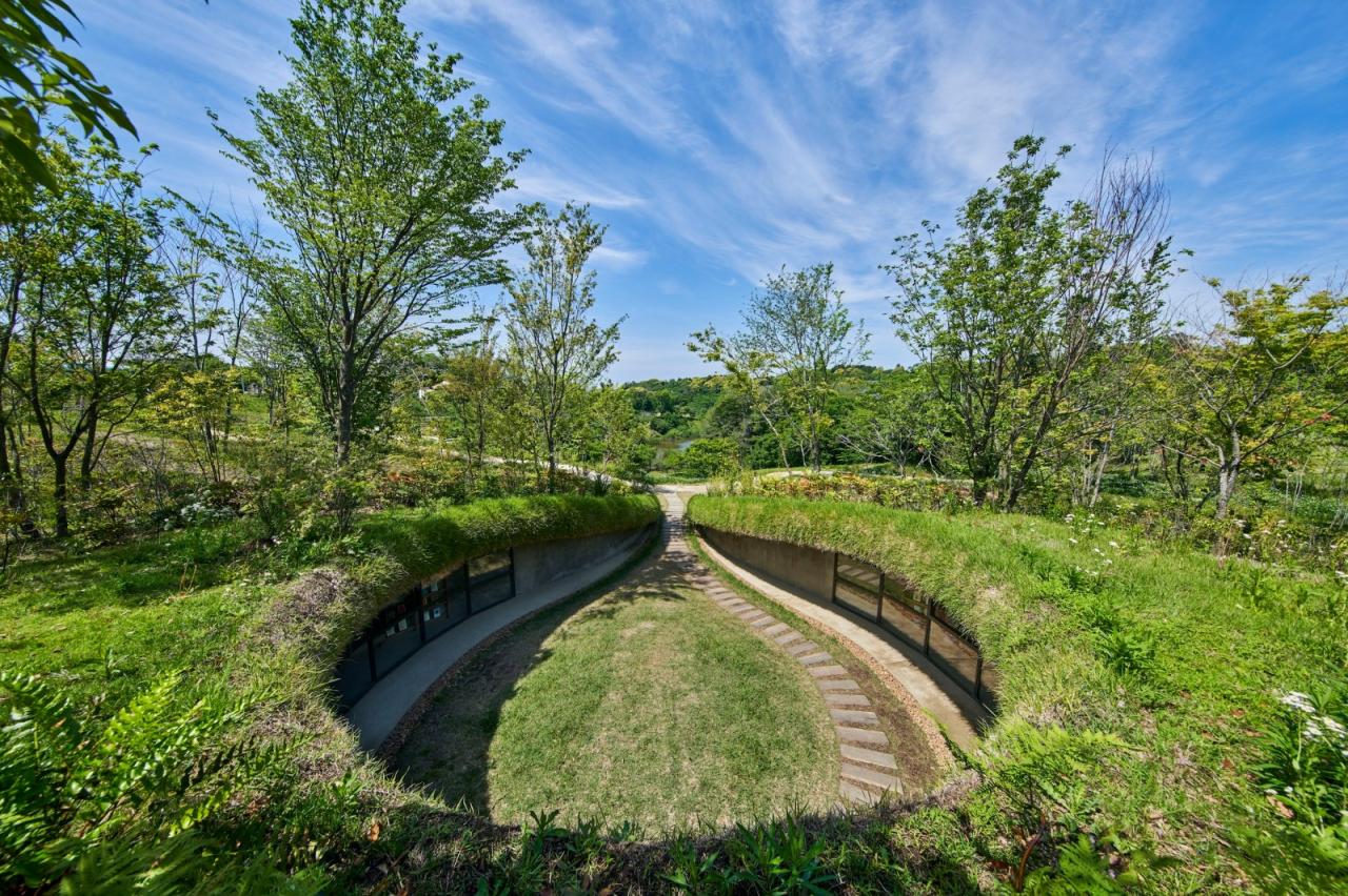 BIM建筑|晴天耕田雨天看书，农民的地球图书馆 / 中村拓志建筑事务所 & NAP