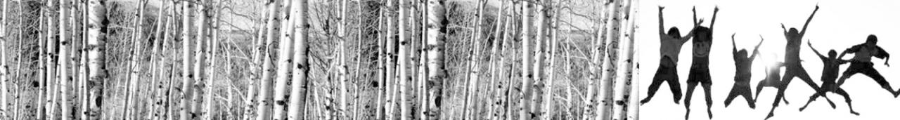 BIM建筑|神木中学项目 / 中科院建筑设计研究院有限公司