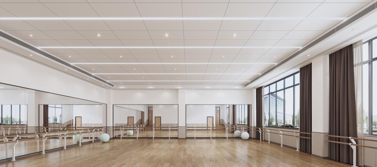 BIM建筑|绿色生态校园：华东师范大学附属顺德美的学校（二期）/ 睿住天元