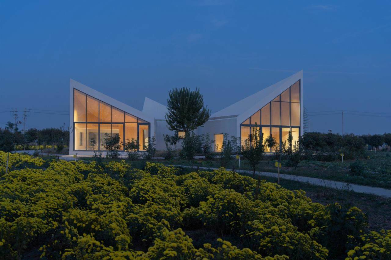 BIM建筑|云台山冰菊花田书馆 / 一树建筑