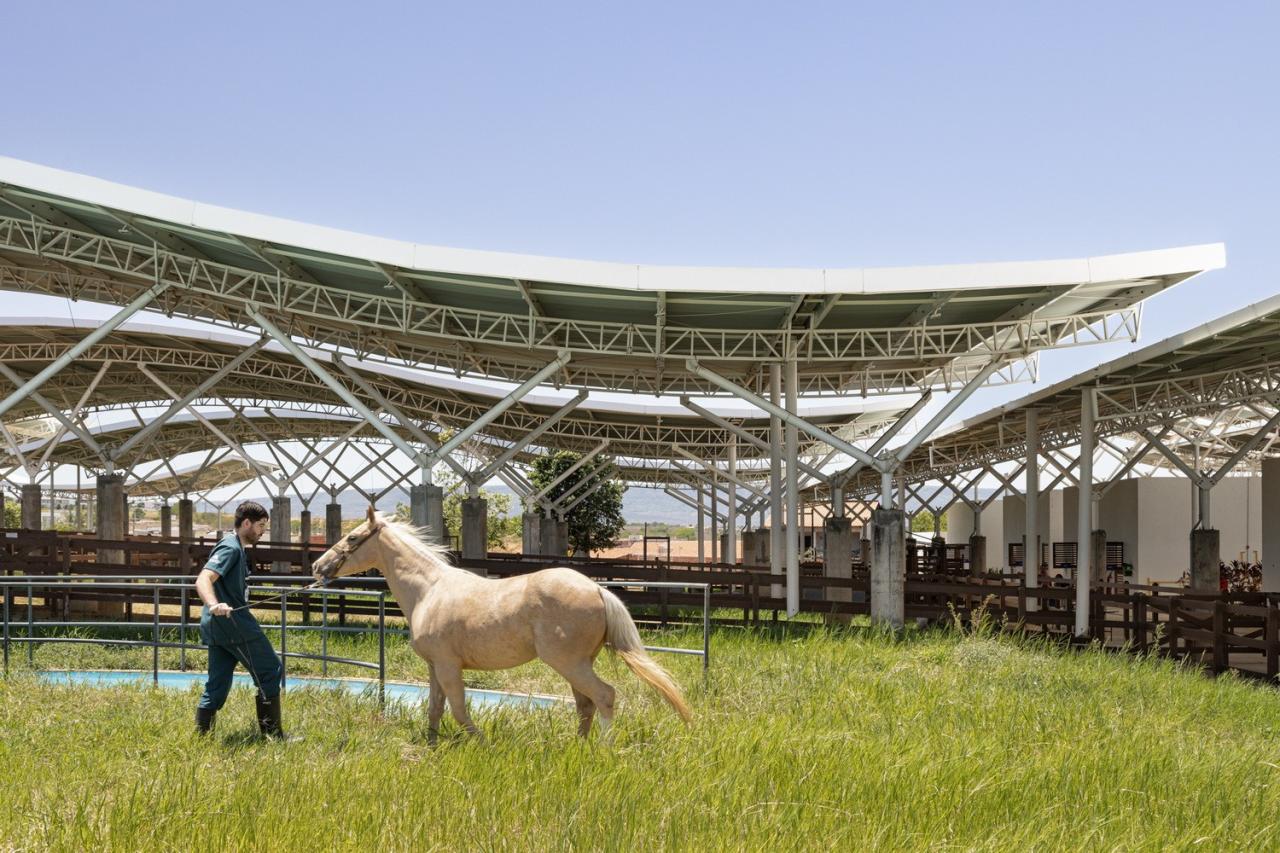 BIM建筑|乌尼埃朗学校兽医院 / Lins Arquitetos Associados
