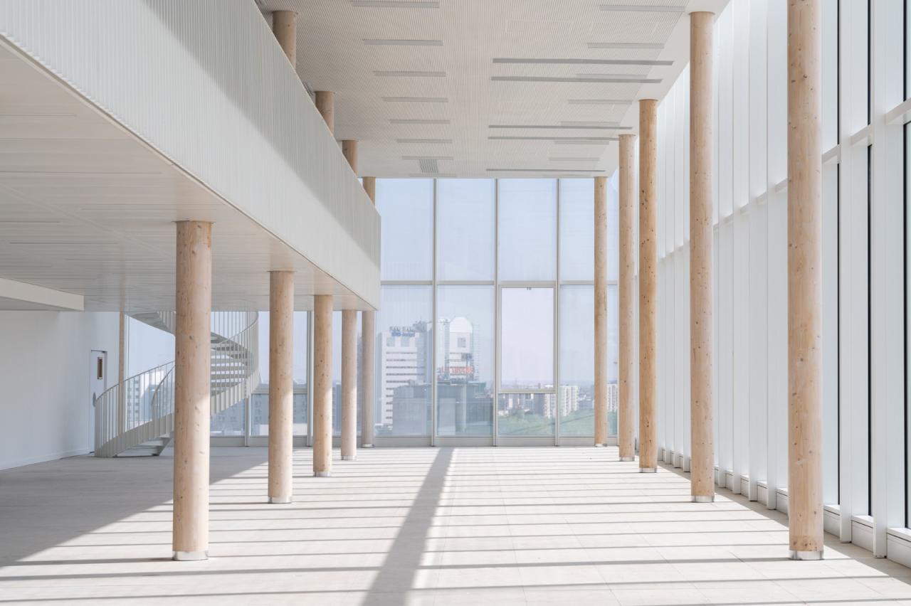 BIM建筑|奇妙大楼 / Coldefy