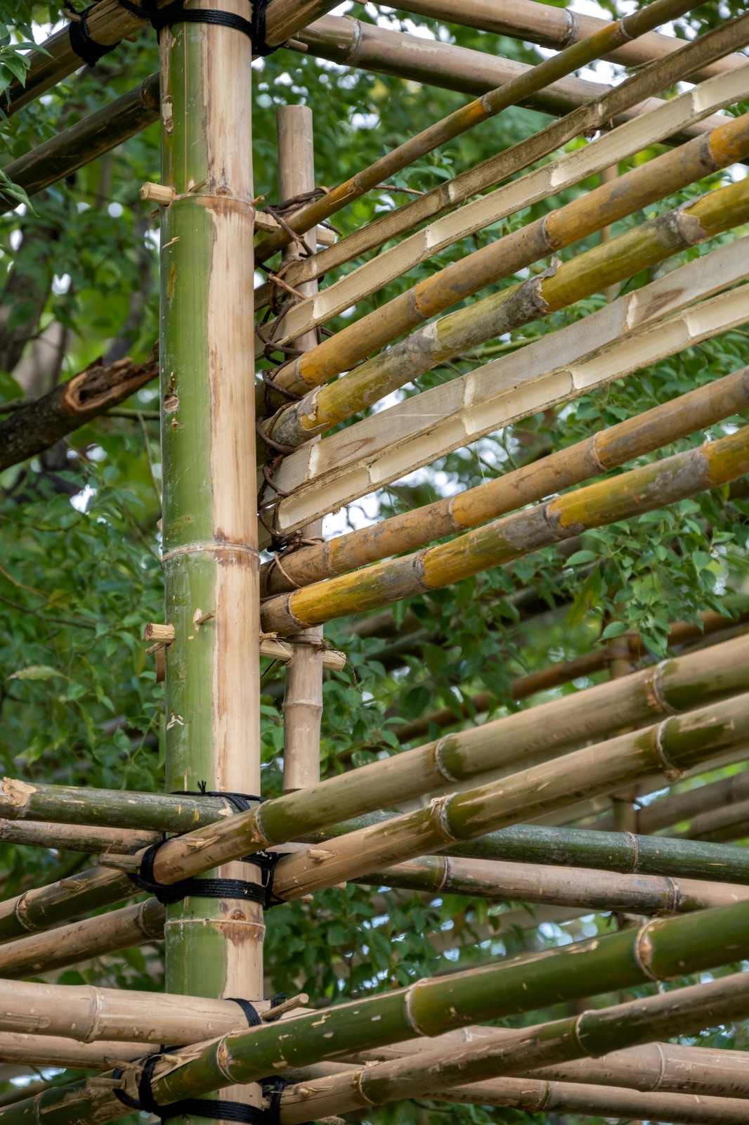 BIM建筑|ASA LANNA 展馆 / Yangnar Studio