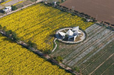 BIM建筑|云台山冰菊花田书馆 / 一树建筑-BIM建筑网