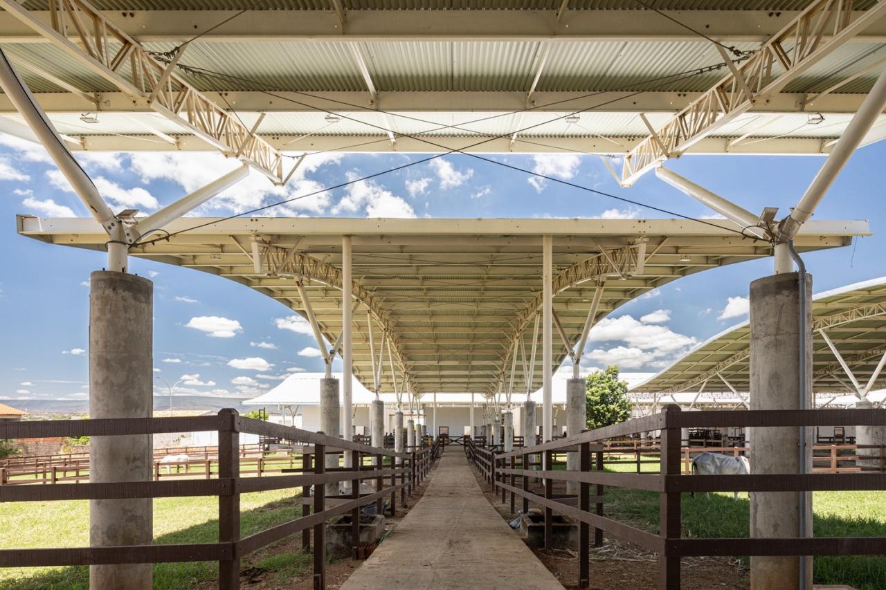 BIM建筑|乌尼埃朗学校兽医院 / Lins Arquitetos Associados