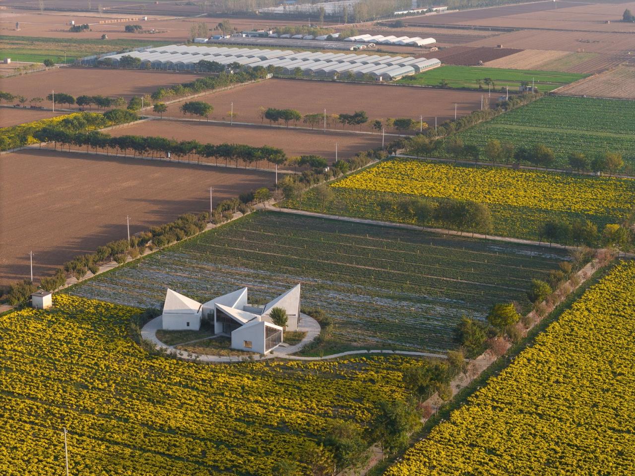 BIM建筑|云台山冰菊花田书馆 / 一树建筑