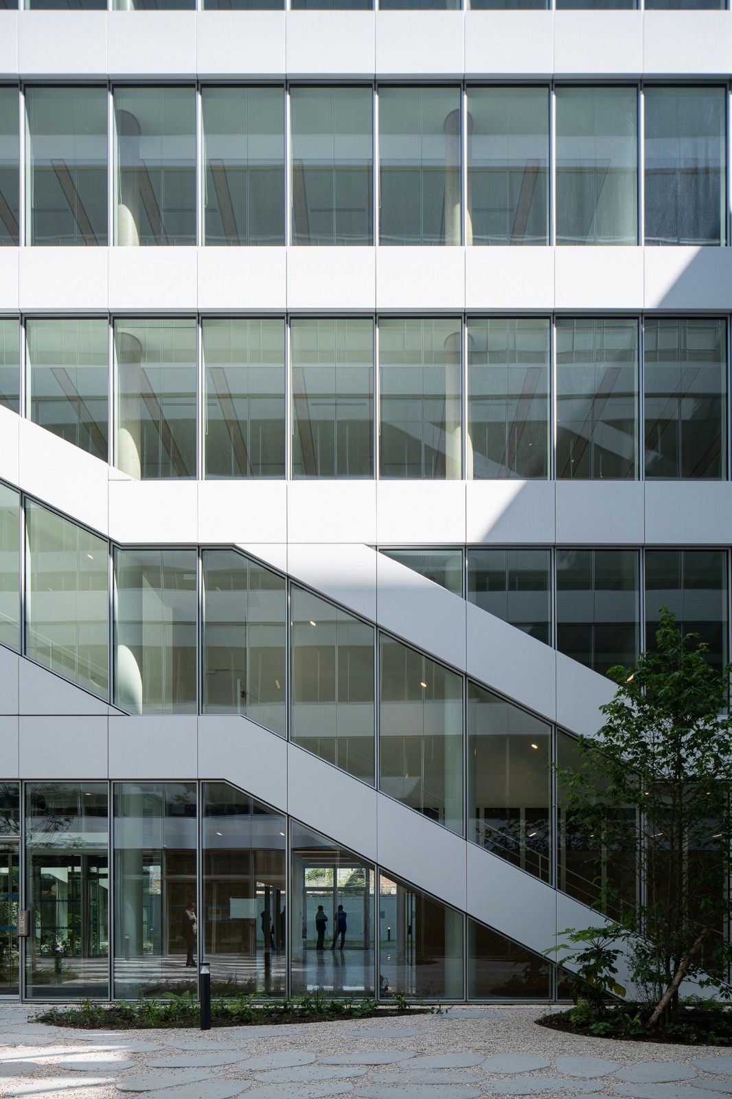 BIM建筑|奇妙大楼 / Coldefy