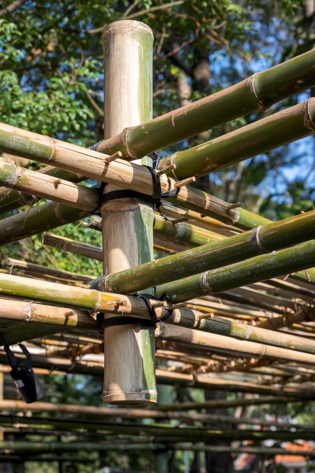 BIM建筑|ASA LANNA 展馆 / Yangnar Studio