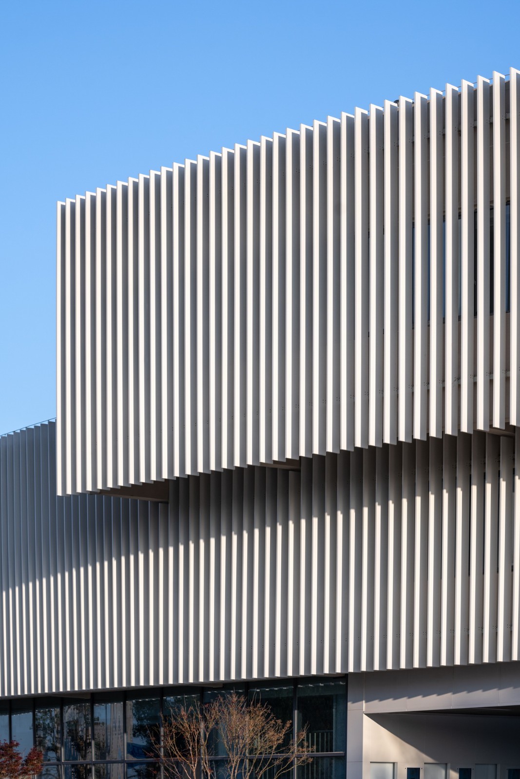 BIM建筑|扬名实验学校 / 米丈建筑