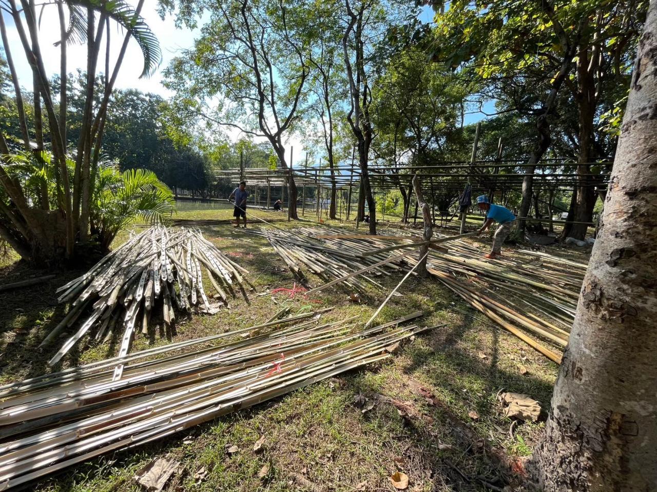 BIM建筑|ASA LANNA 展馆 / Yangnar Studio