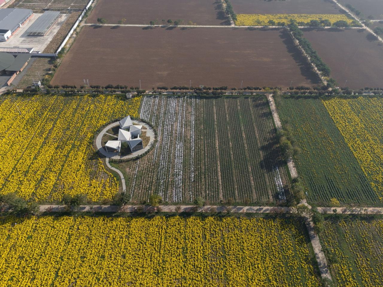 BIM建筑|云台山冰菊花田书馆 / 一树建筑