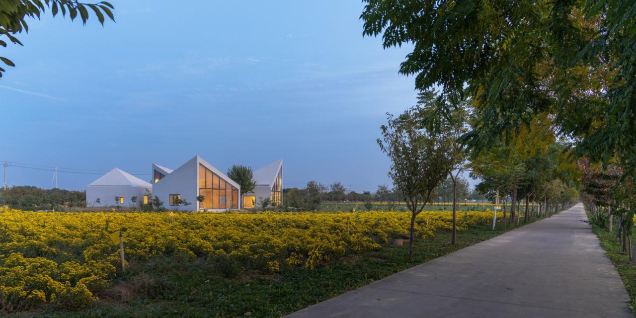 BIM建筑|云台山冰菊花田书馆 / 一树建筑