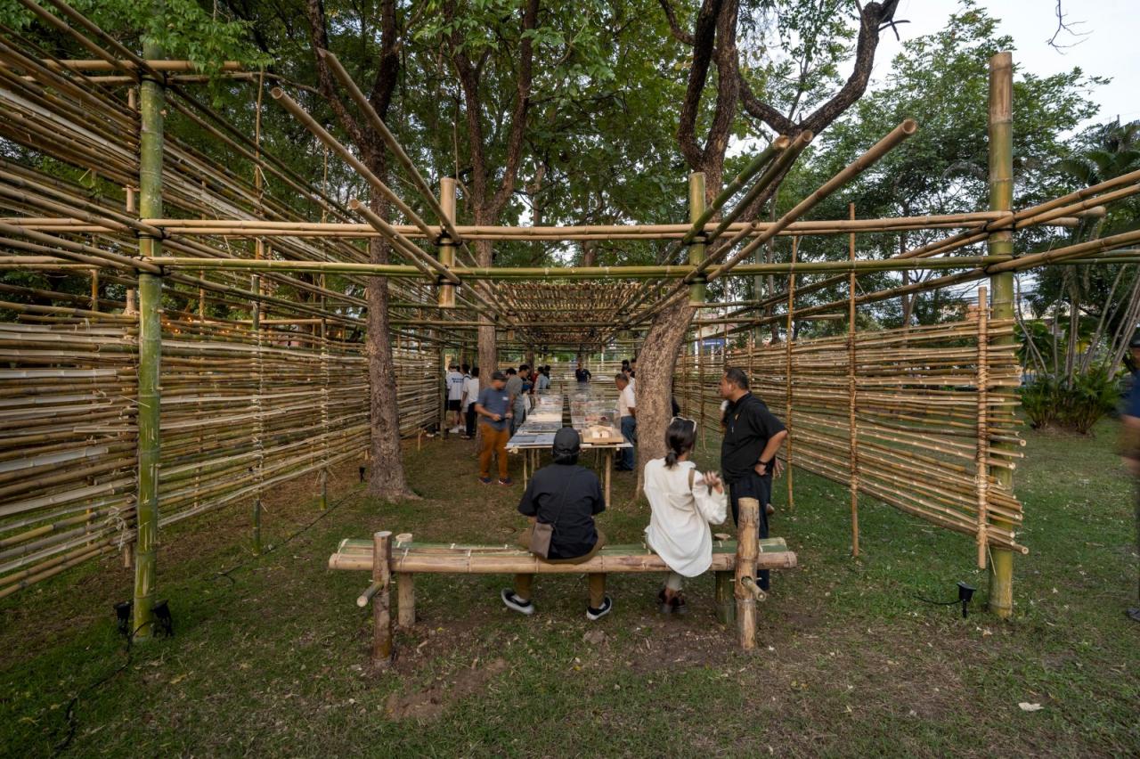 BIM建筑|ASA LANNA 展馆 / Yangnar Studio