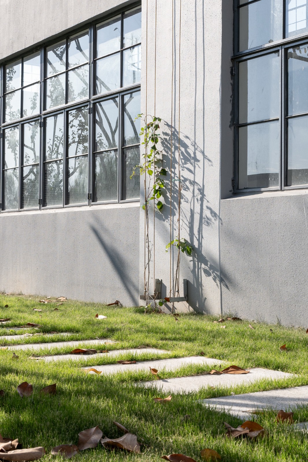 BIM建筑|漂浮盒子：云境未来产业园区 / 格筑设计