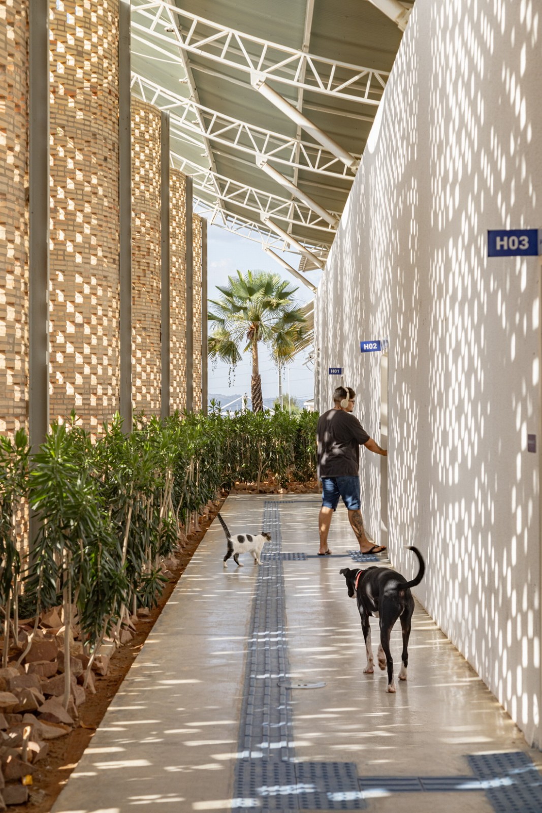 BIM建筑|乌尼埃朗学校兽医院 / Lins Arquitetos Associados