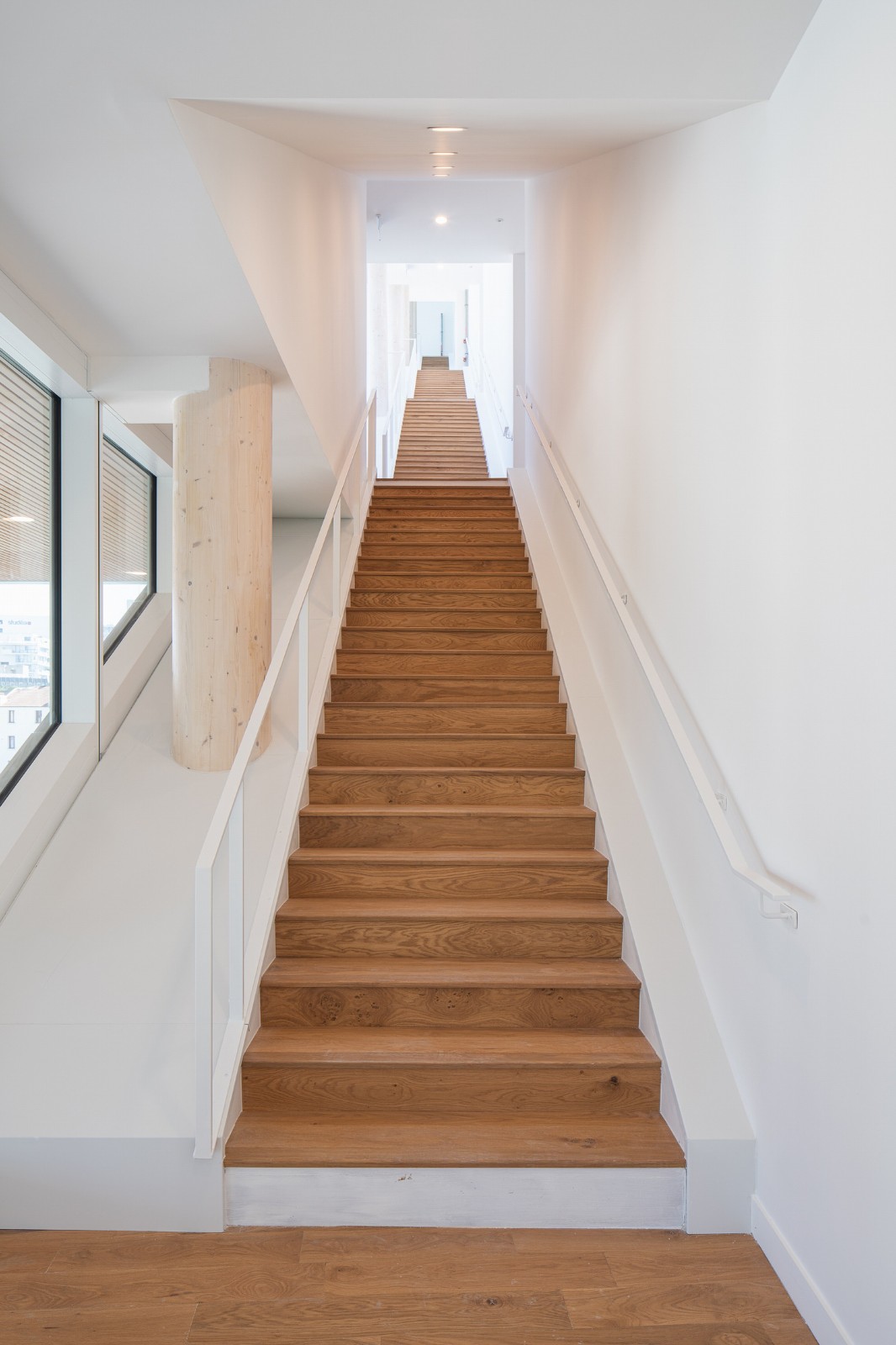 BIM建筑|奇妙大楼 / Coldefy