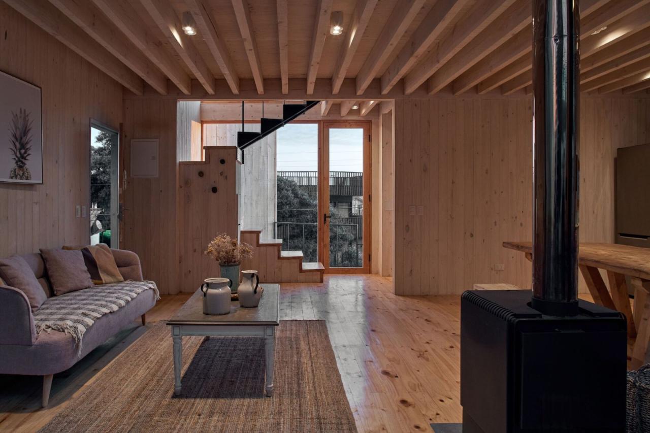 BIM建筑|Lagunita 之家 / Croxatto y Opazo Arquitectos