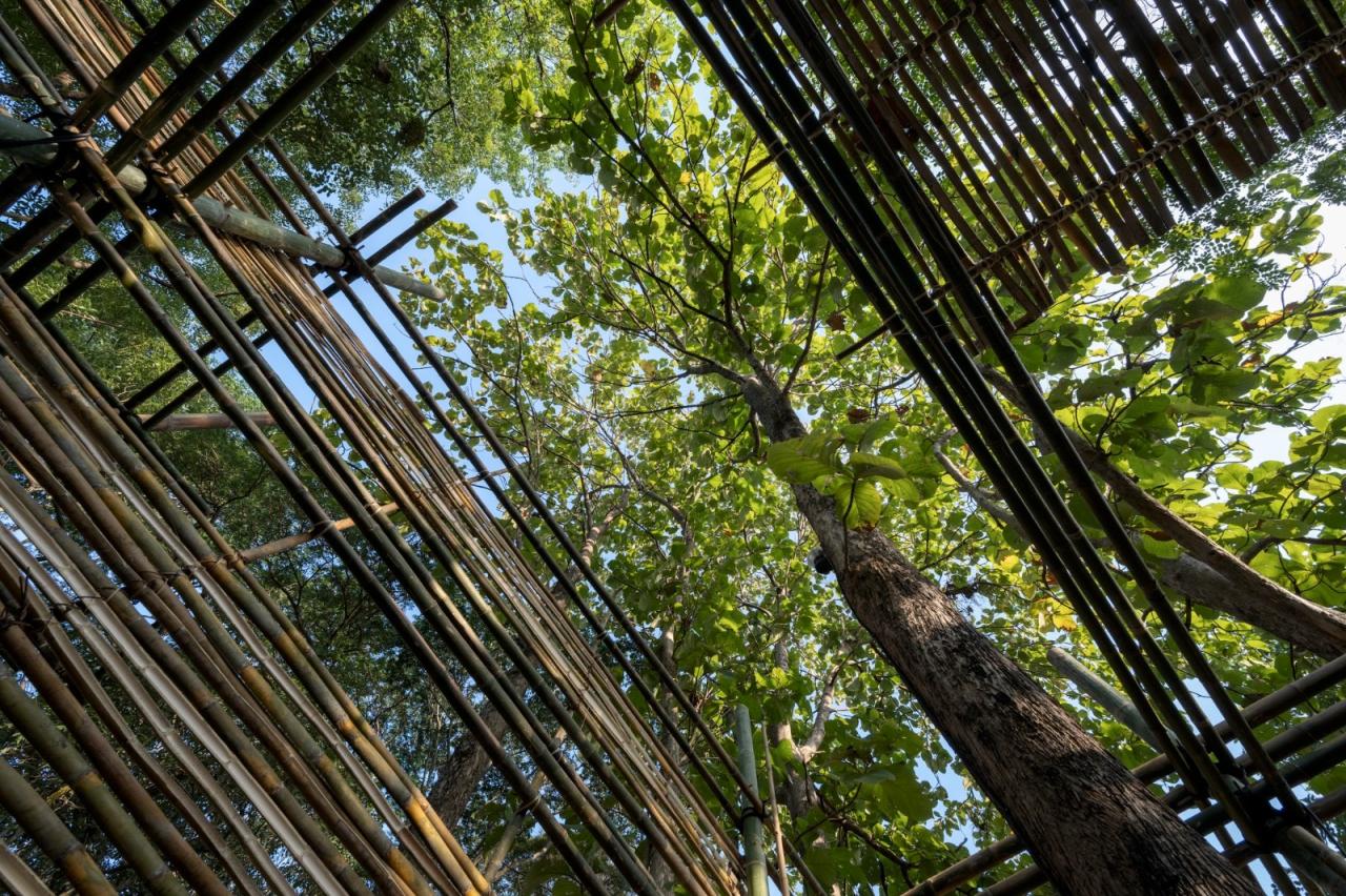 BIM建筑|ASA LANNA 展馆 / Yangnar Studio