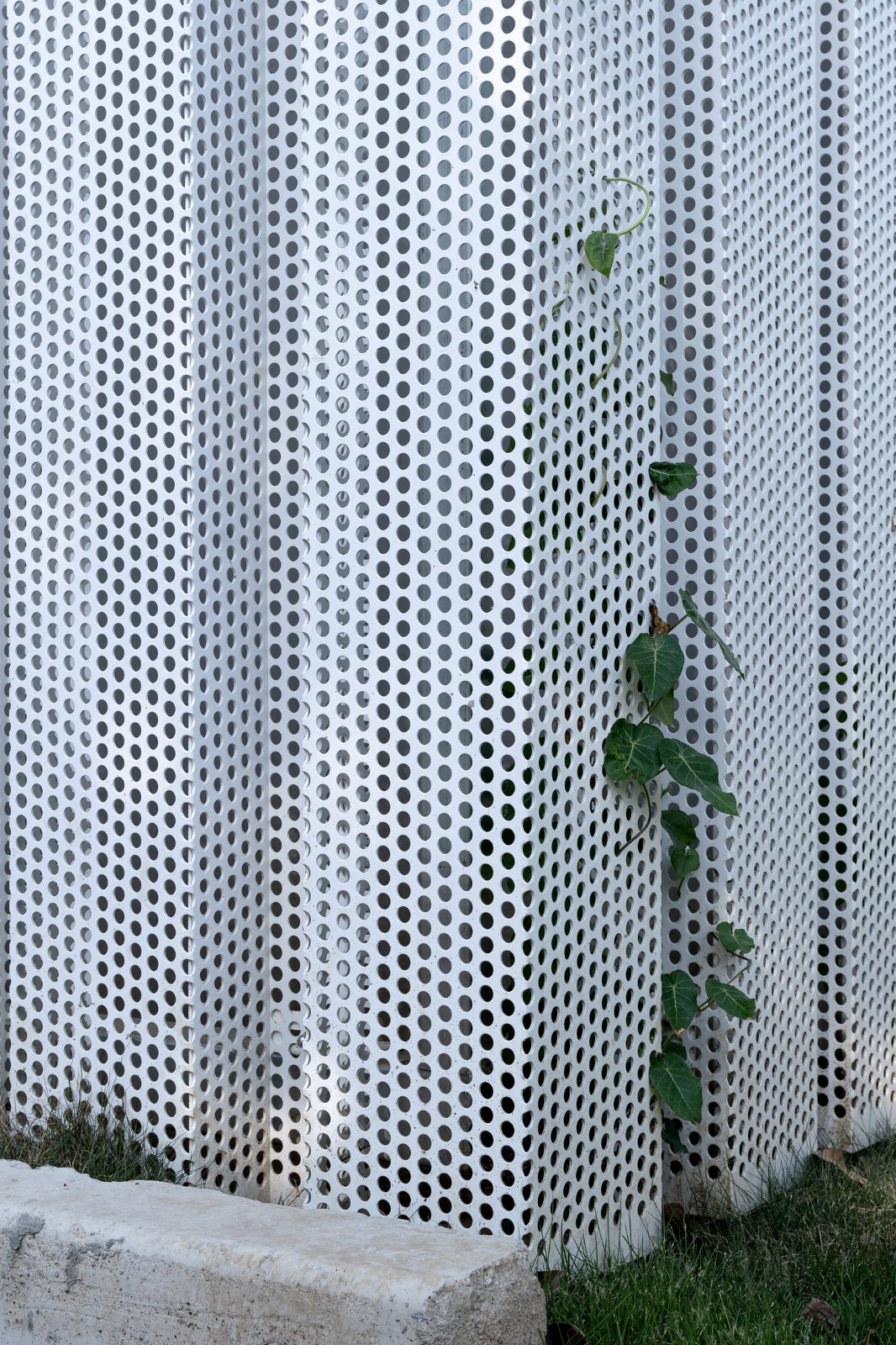 BIM建筑|漂浮盒子：云境未来产业园区 / 格筑设计