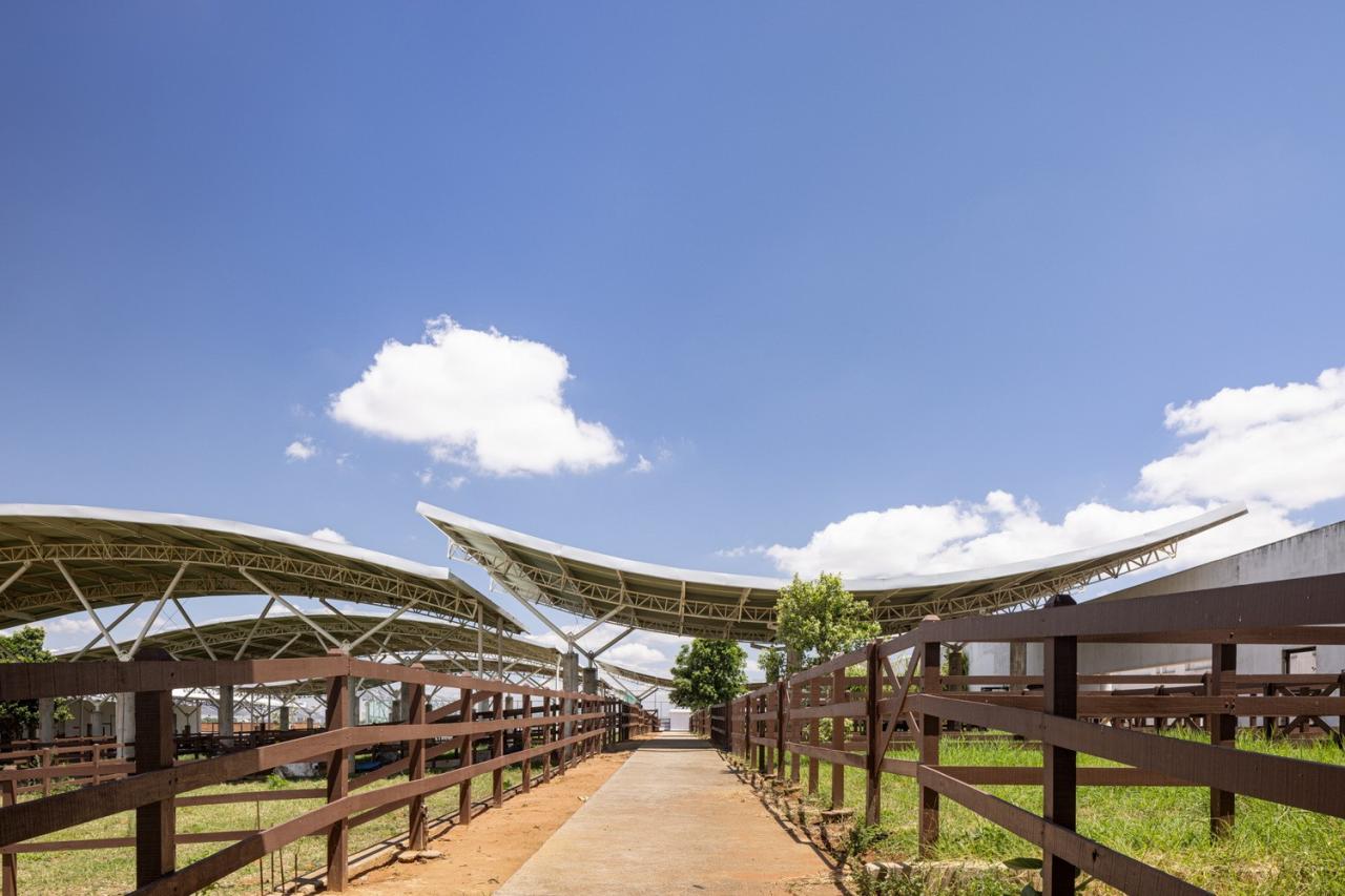 BIM建筑|乌尼埃朗学校兽医院 / Lins Arquitetos Associados