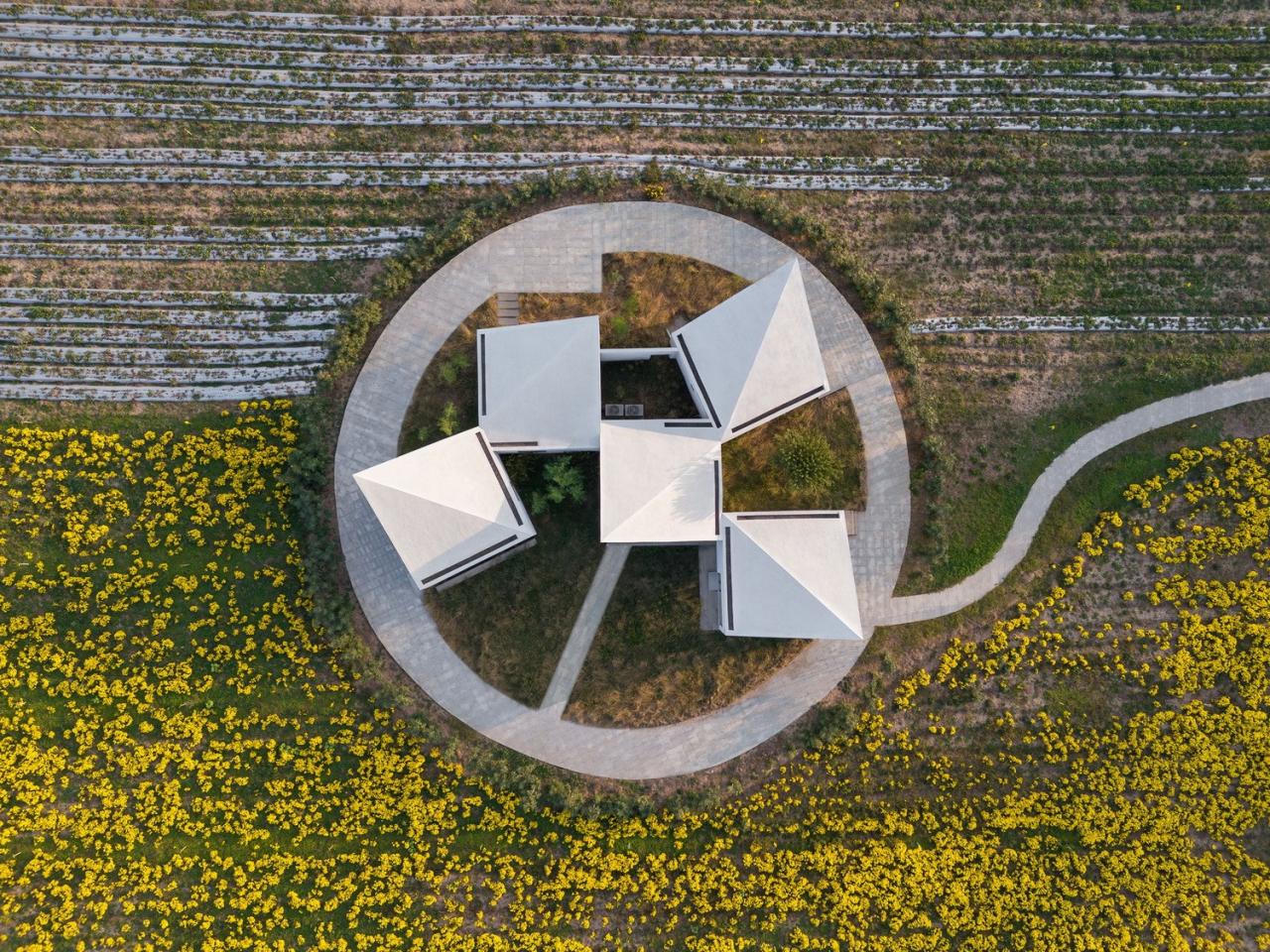 BIM建筑|云台山冰菊花田书馆 / 一树建筑