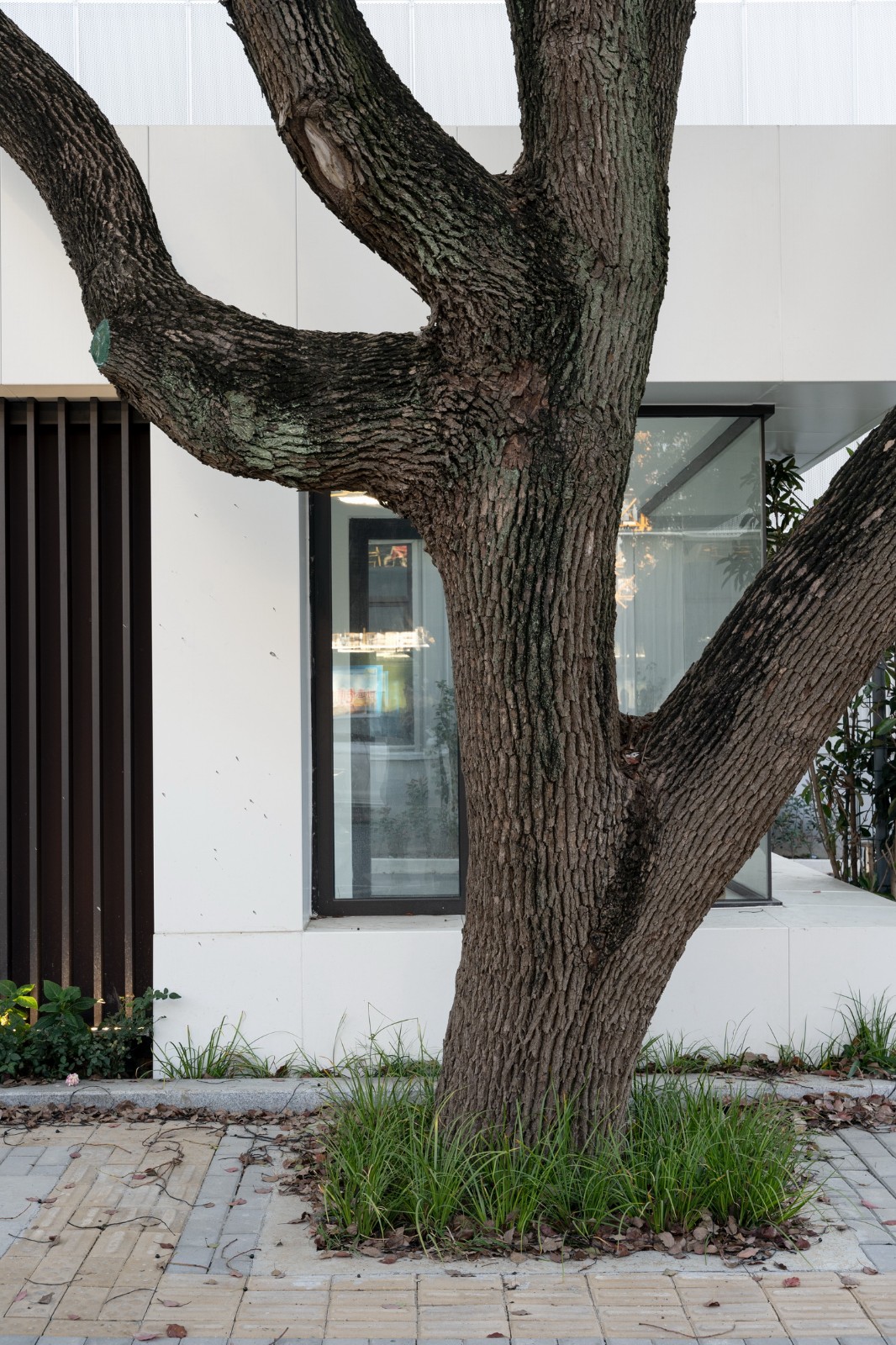 BIM建筑|漂浮盒子：云境未来产业园区 / 格筑设计