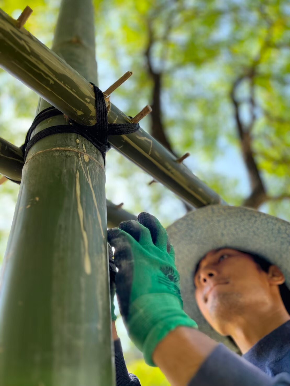 BIM建筑|ASA LANNA 展馆 / Yangnar Studio